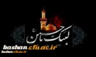 همراه با قافله عشق