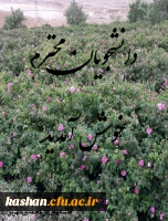 ورودیهای جدید 5