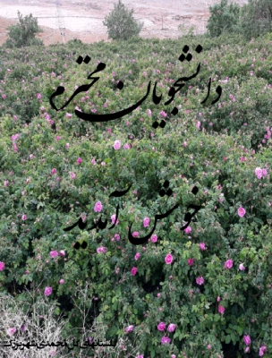 ورودیهای جدید 5