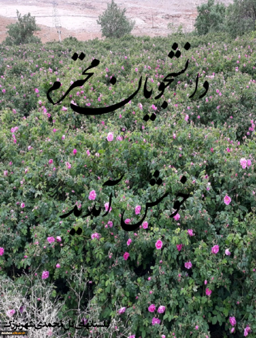 ورودیهای جدید 5