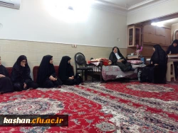 بازدید و عیادت از مادر شهیدان بارفروش 4