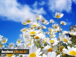 تبریک سال جدید 2