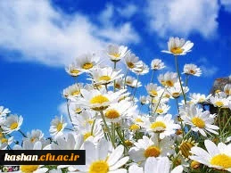 تبریک سال جدید