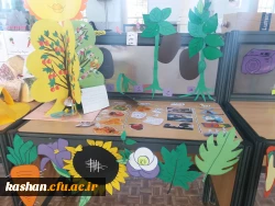 برپایی نمایشگاه دست سازه های درس علوم  4