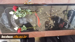 دیدار با خانواده شهید بسیجی ابراهیم صیادی و زیارت قبر مطهر ایشان 6