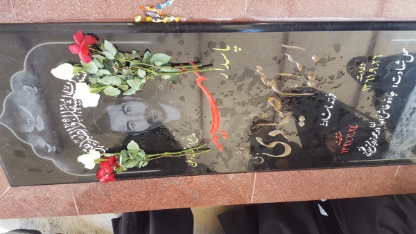 دیدار با خانواده شهید بسیجی ابراهیم صیادی و زیارت قبر مطهر ایشان 6