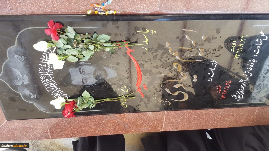 دیدار با خانواده شهید بسیجی ابراهیم صیادی و زیارت قبر مطهر ایشان 6