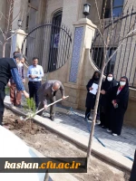 روز درختکاری 2