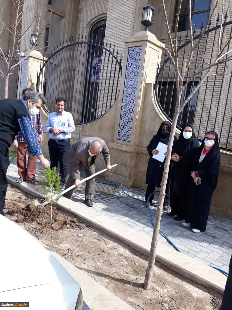 روز درختکاری 2