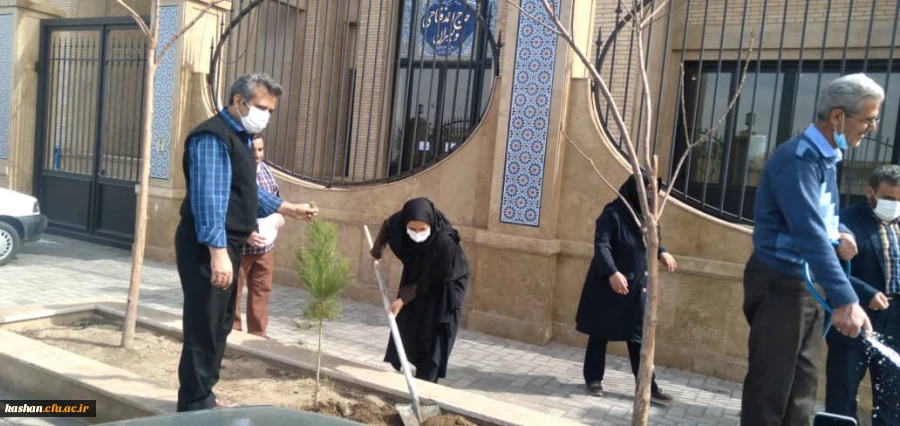 روز درختکاری 3