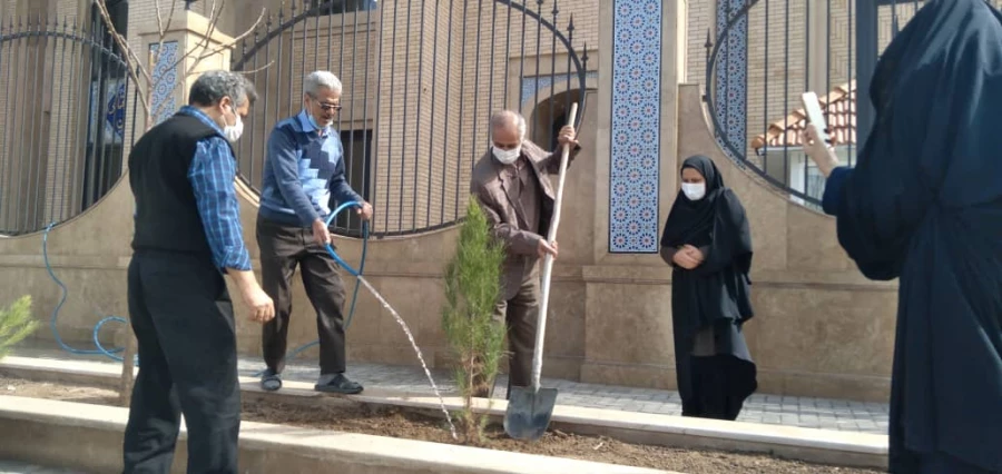 روز درختکاری 3