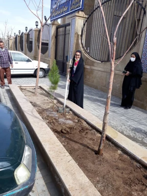 روز درختکاری 4