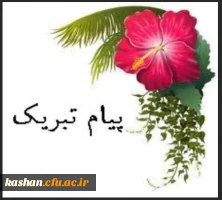 درخشش دانشجو معلمان دانشگاه فرهنگیان مرکز کاشان در کسب رتبه های برتر دهمین جشنواره تدریس منطقه ی6 2