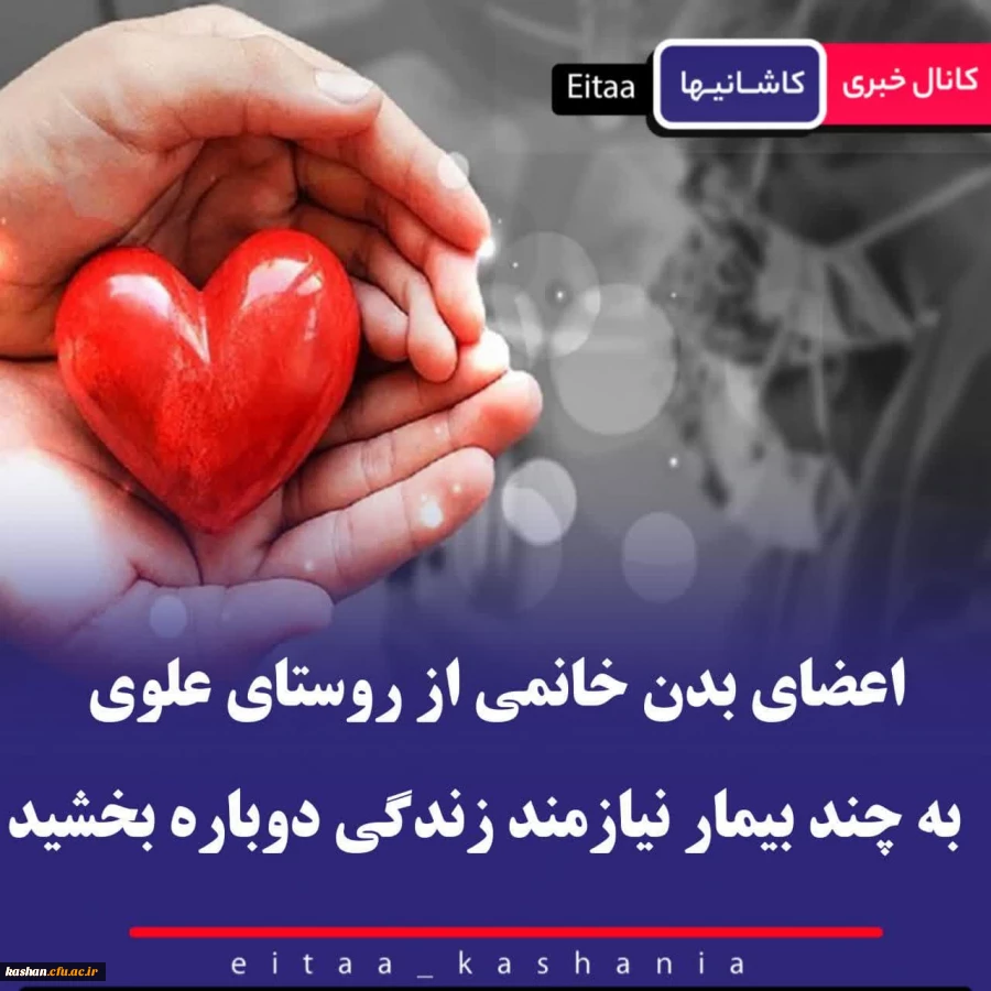 پیام تسلیت 2