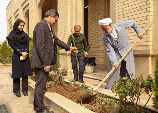 کاشت نهال به مناسبت روز درختکاری 2