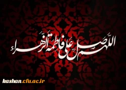 شهادت حضرت فاطمه(س) جانگداز سرور زنان دو عالم تسلیت باد. 2